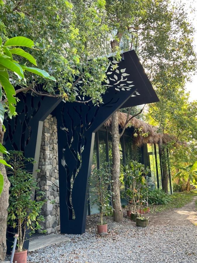 Ferienwohnung La Tree 普椿農場木子莊園 Donghe Exterior foto