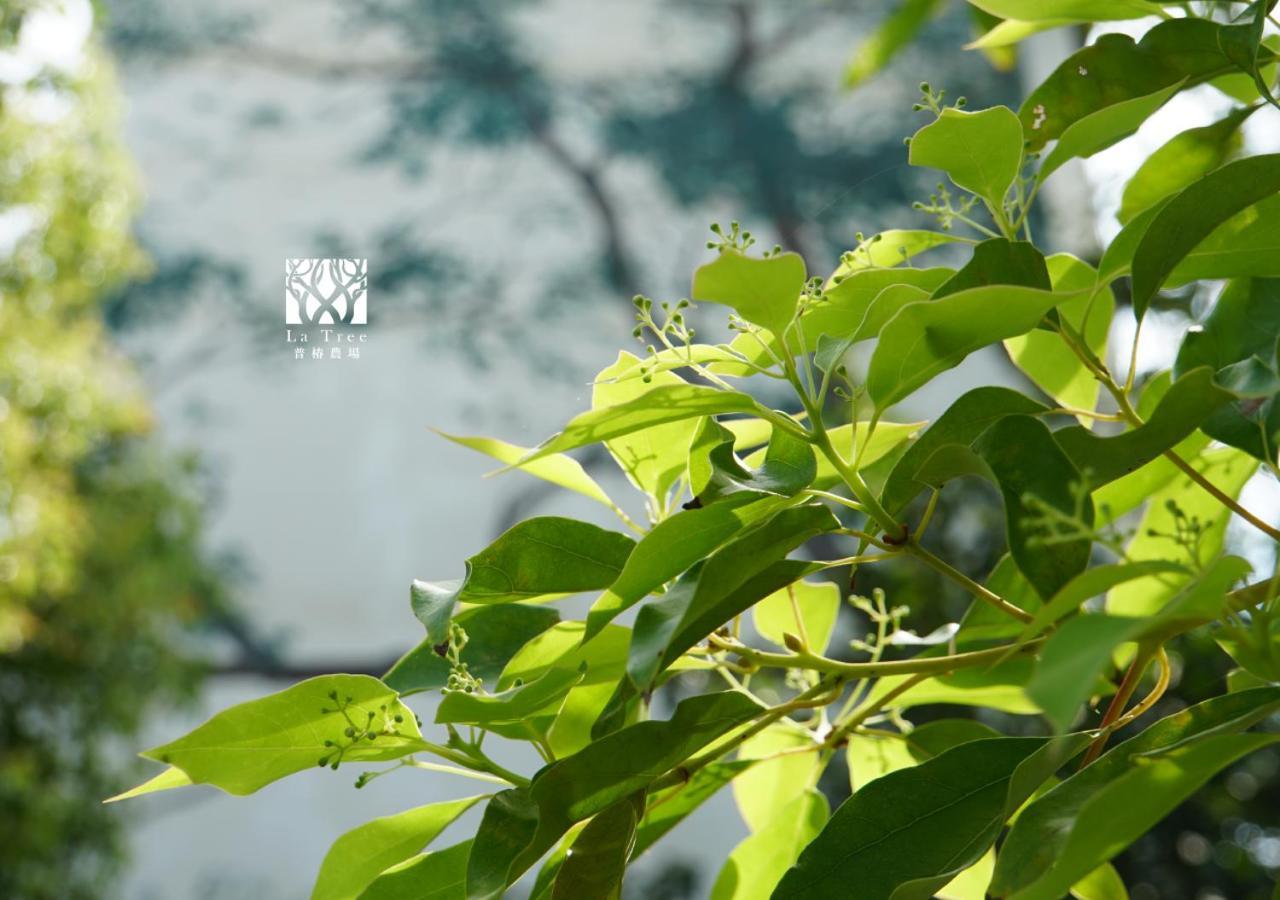 Ferienwohnung La Tree 普椿農場木子莊園 Donghe Exterior foto