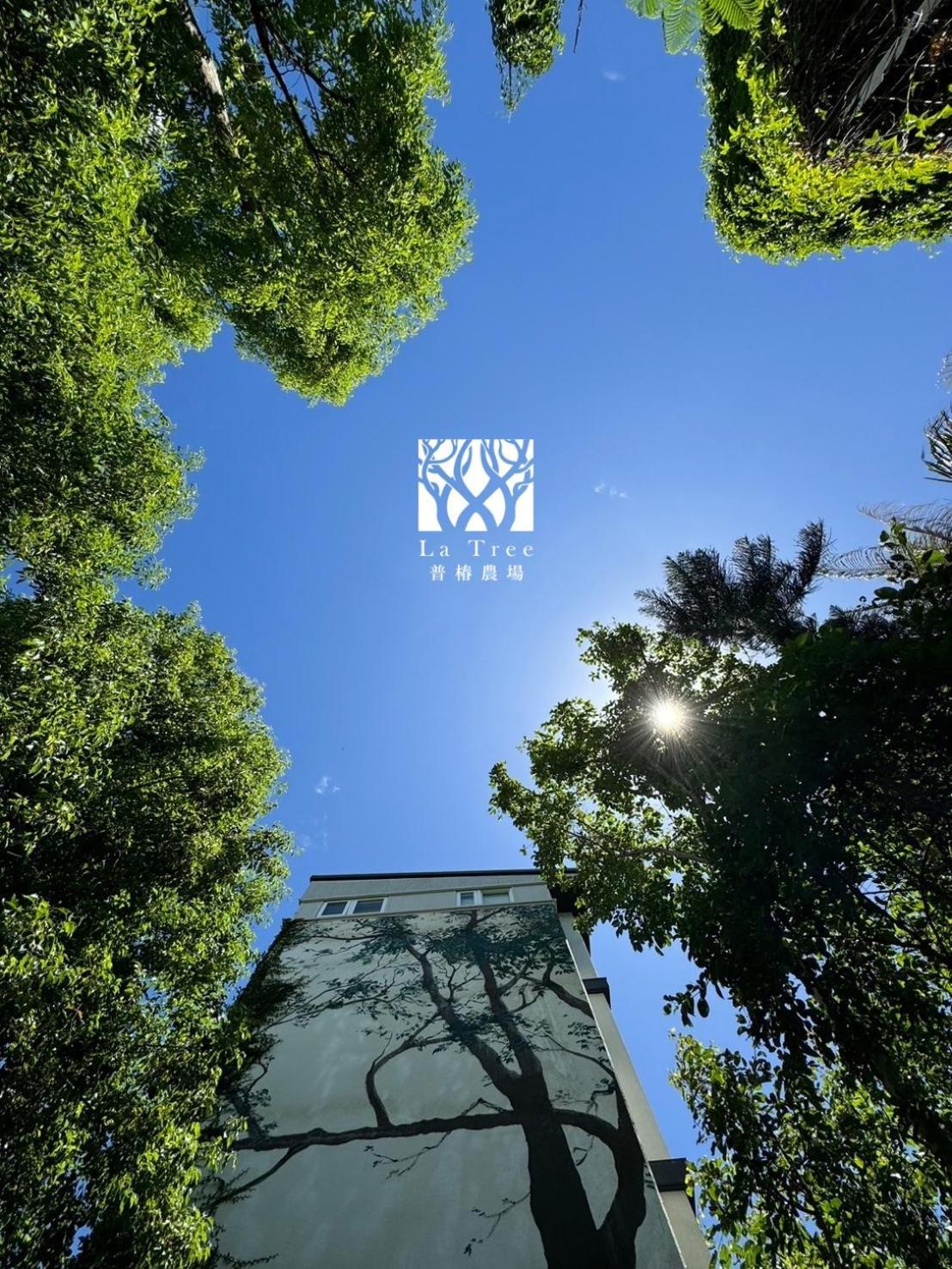 Ferienwohnung La Tree 普椿農場木子莊園 Donghe Exterior foto
